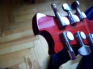 caparison 010.jpg