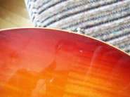 caparison 012.jpg