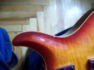 caparison 015.jpg
