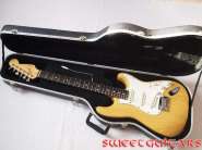 Fender USA Ash_1.jpg