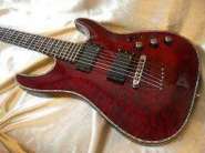2_SCHECTER_C_1_HEL2L.JPG