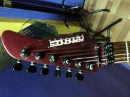 DSC01543111111.jpg