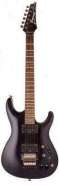 guitarra nuno.jpg