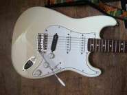 1_Fender_STD_MIM.jpg