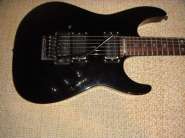 DSC01037.jpg