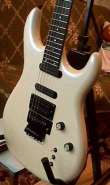 carvin1.jpg