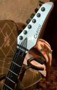 carvin2.jpg