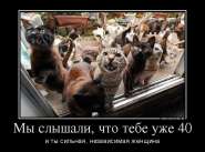 2915870_myi-slyishali-chto-tebe-uzhe-40.jpg