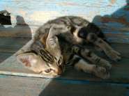 ������ ���������.jpg