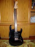 Washburn X 10.jpg