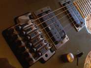 IMG295.jpg