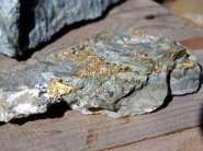 gold-ruda.jpg
