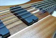 BlazonBass.jpg