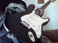 ����������� 001.jpg