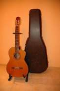 takamine 01.jpg