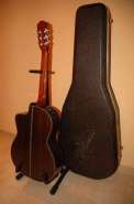 takamine 02.jpg