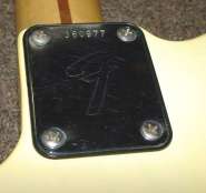 F.tele73 neck plate.jpg