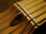 Fender Japan 2006-2.jpg