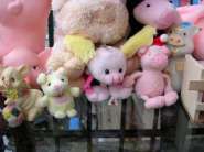 DSCN3062.jpg