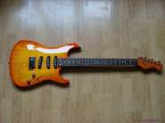 Fender showmaster.jpg