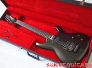Ibanez JS case.jpg