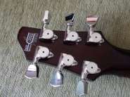 Washburn DD-60 012.jpg