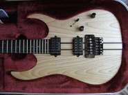 Ibanez RGT220A (2).jpg