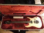 Ibanez RGT220A(1).jpg
