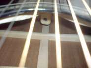 DSC01906.jpg