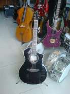 DSC01905.jpg