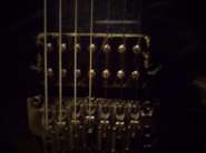 DSC00718.jpg