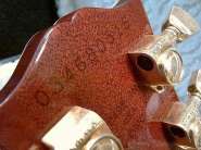 IMAG0448-vi.jpg