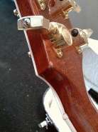 IMAG0450-vi.jpg