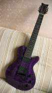 Schecter1.jpg