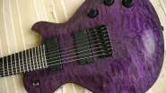 Schecter2.jpg