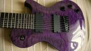 Schecter3.jpg