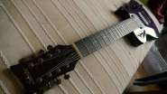 Schecter4.jpg