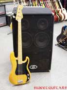 Ampeg Bass.jpg