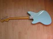 jagstang back.jpg