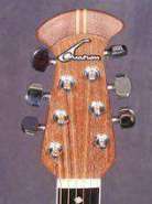 20U-12337_headstock-front_sm_.jpg