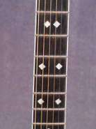 20U-12337_fretboard_sm_.jpg