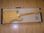 music man sabre back.jpg