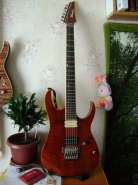 DSC01334.jpg