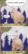 medved.jpg