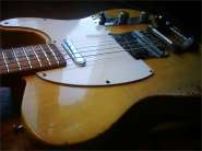 F.tele68 EVO Gold-10.jpg