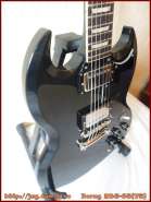 burny_rsg_65-75_4.jpg
