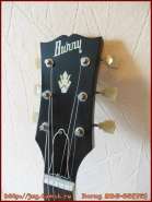 burny_rsg_65-75_5.jpg