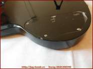 burny_rsg_65-75_10.jpg