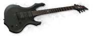 ESP LTD F-2005_enl.jpg