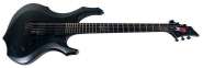 ESP LTD F-2005_001_enl.jpg